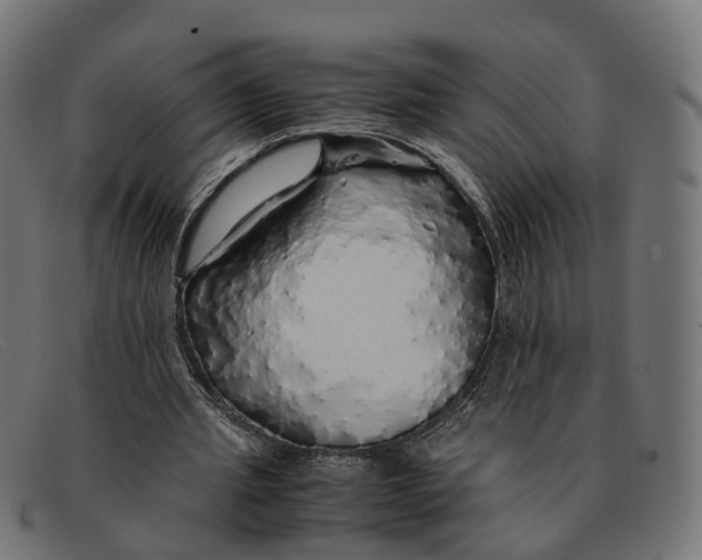X0000091490437200709131833