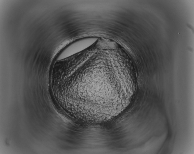 X0000091490438200709131833