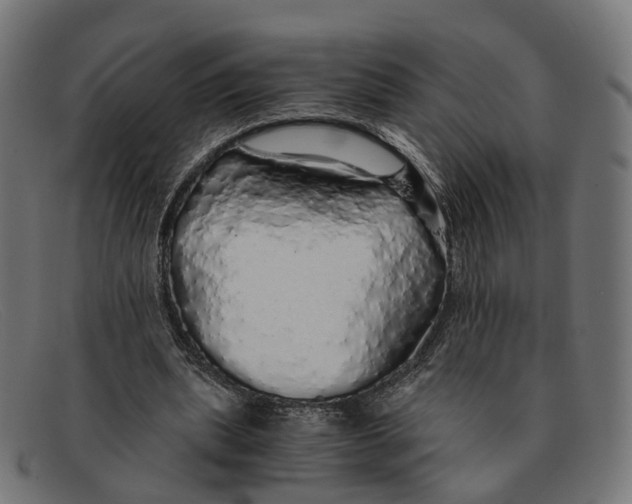 X0000091490439200709131833