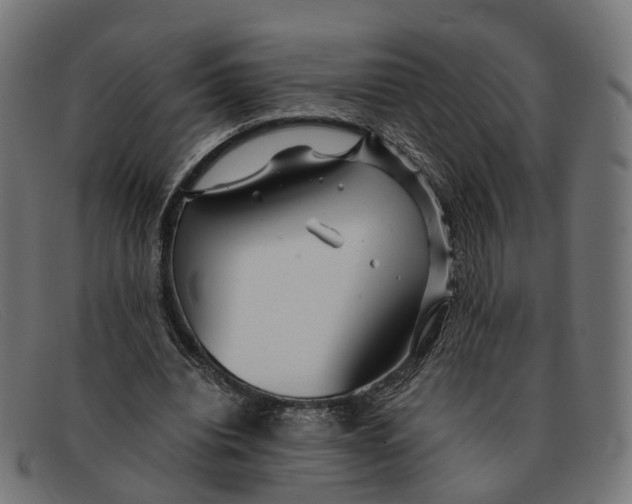 X0000091490440200709131833