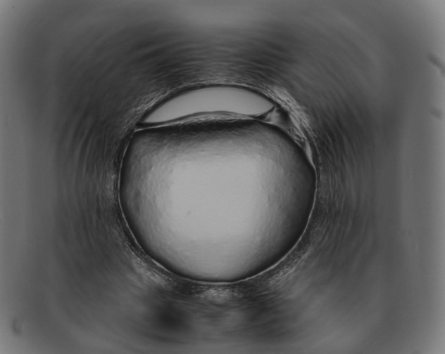 X0000091490441200709131833