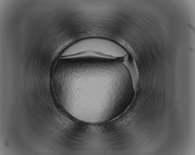 X0000091490442200709131833