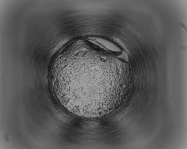 X0000091490443200709131833