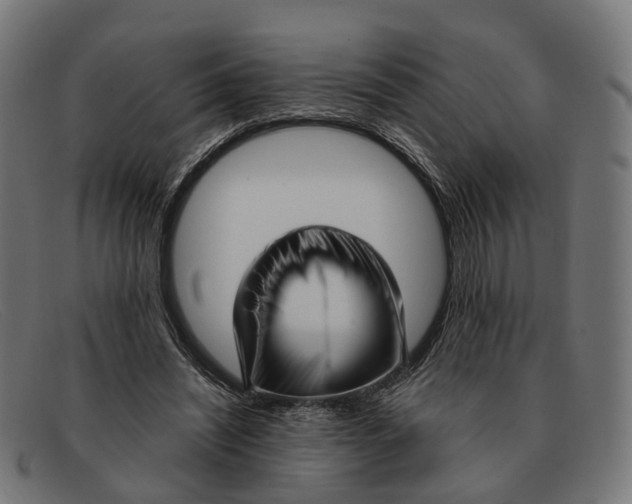 X0000091490444200709131833