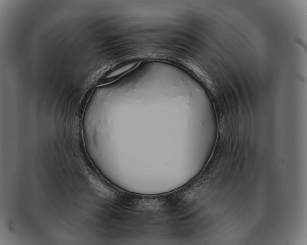 X0000091490445200709131833