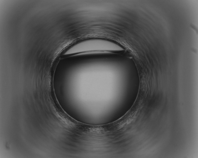 X0000091490446200709131833