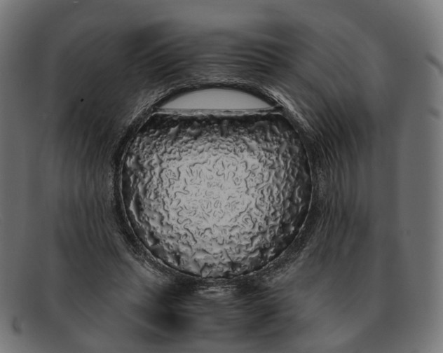 X0000091490447200709131834