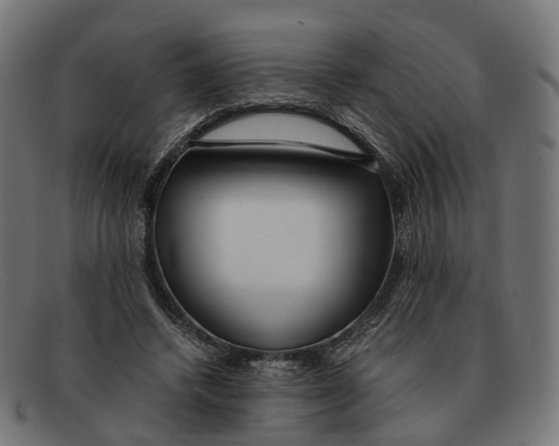 X0000091490448200709131834