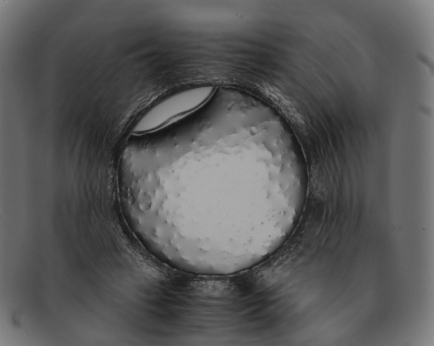 X0000091490449200709131834