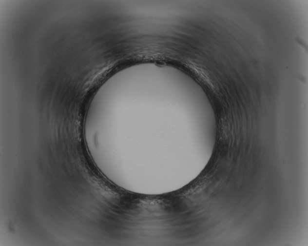 X0000091490450200709131834