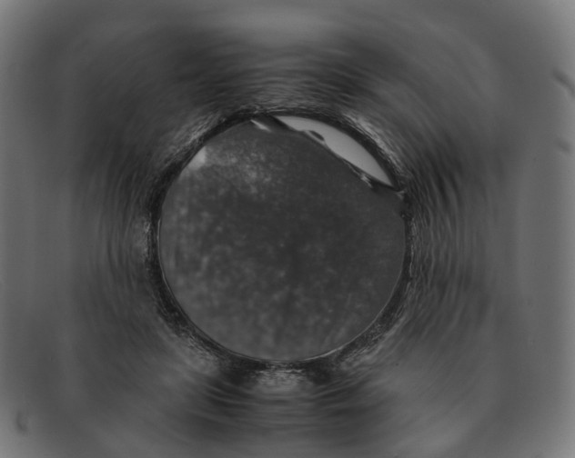 X0000091490451200709131834
