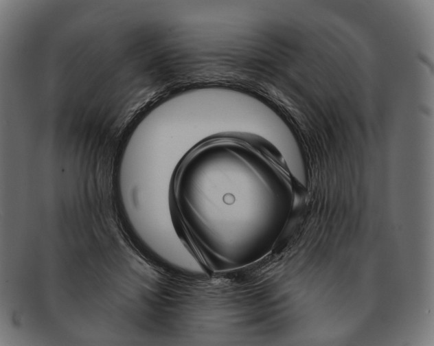 X0000091490452200709131834