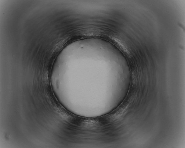 X0000091490453200709131834