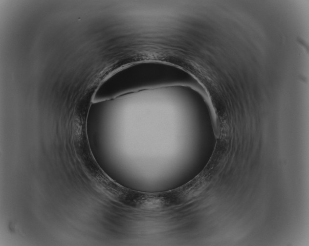 X0000091490456200709131834