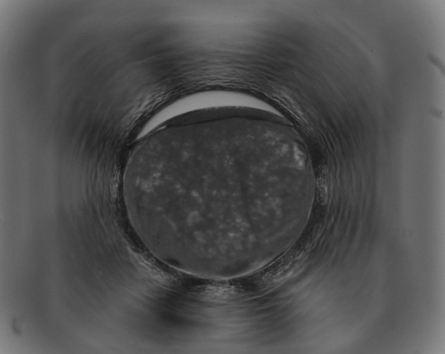 X0000091490458200709131834