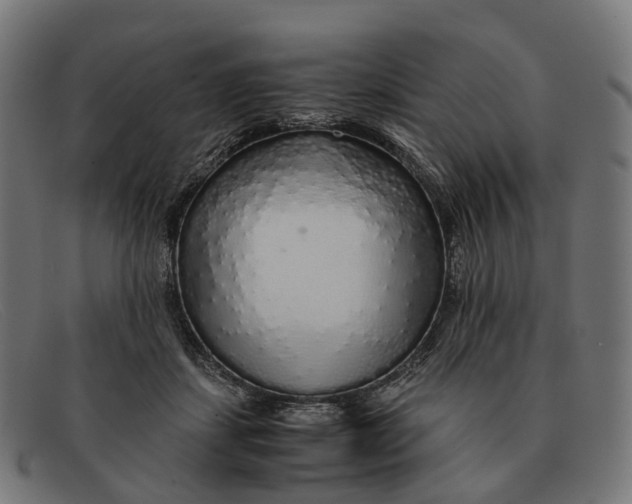 X0000091490459200709131834