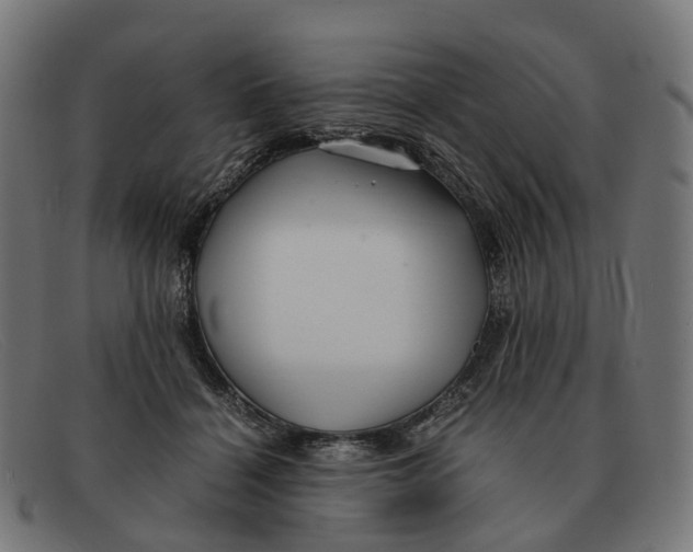 X0000091490460200709131834