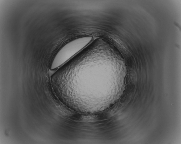 X0000091490461200709131834