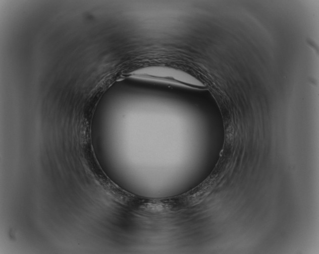 X0000091490464200709131834