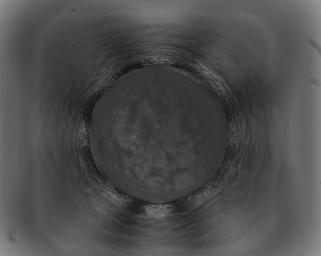 X0000091490465200709131834