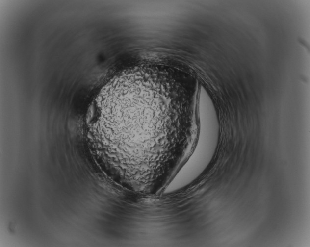 X0000091490466200709131834