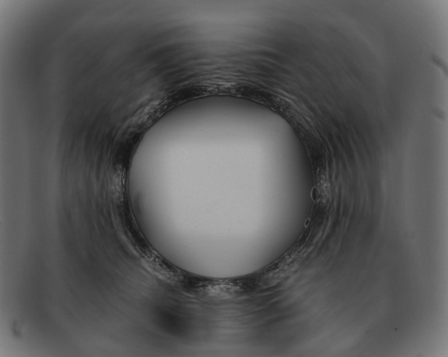 X0000091490468200709131834