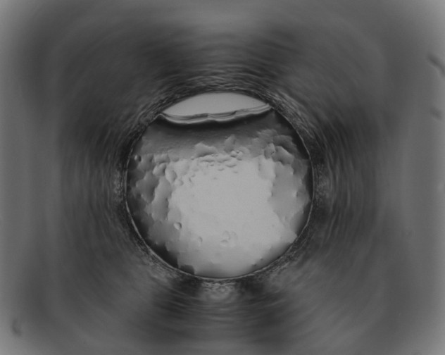 X0000091490469200709131834