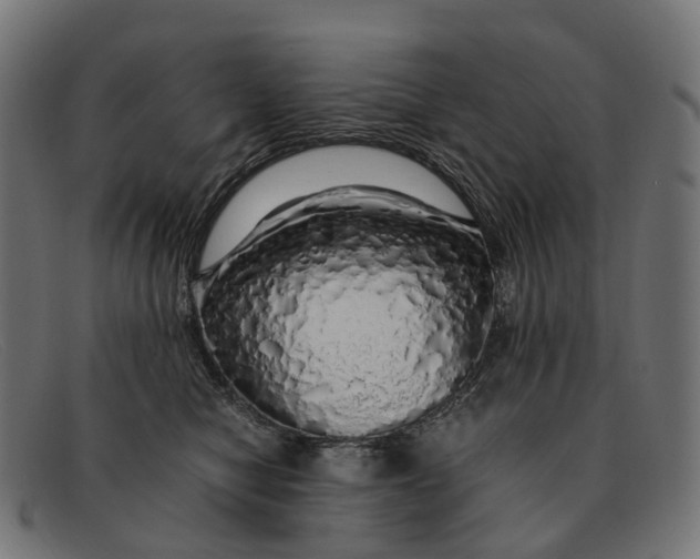 X0000091490470200709131834