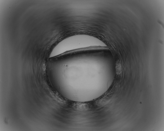 X0000091490472200709131834