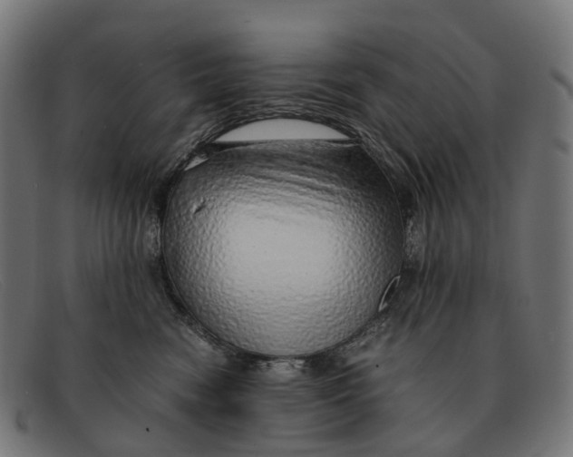 X0000091490474200709131834