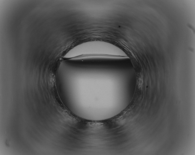 X0000091490476200709131834