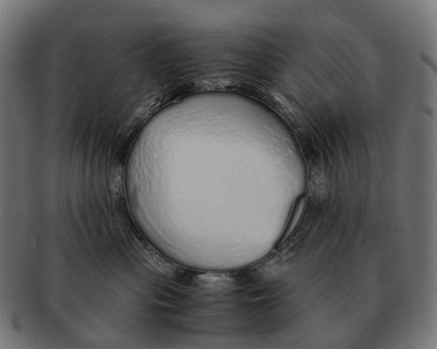 X0000091490477200709131834