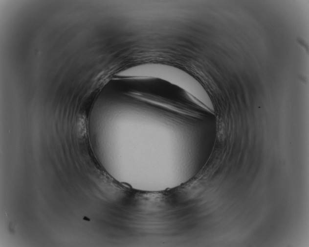 X0000091490478200709131834