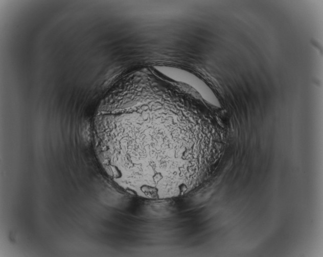 X0000091490479200709131834