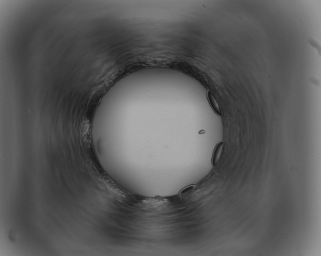X0000091490480200709131834