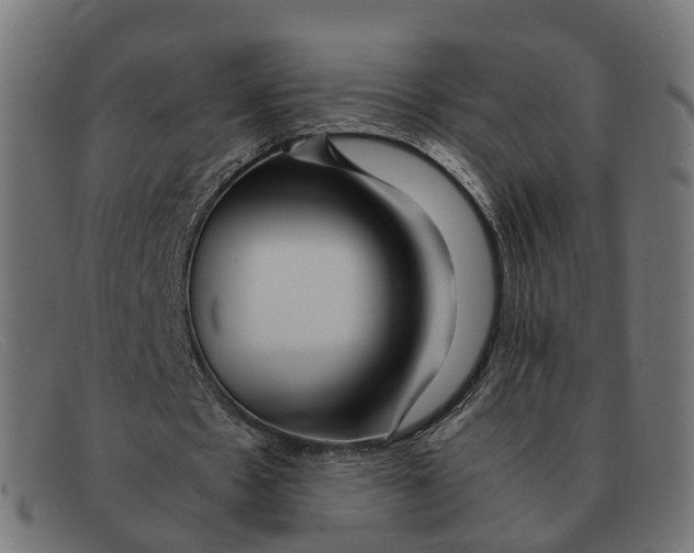 X0000091490481200709131833