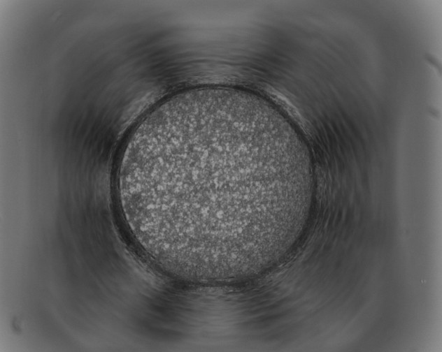 X0000091490482200709131833