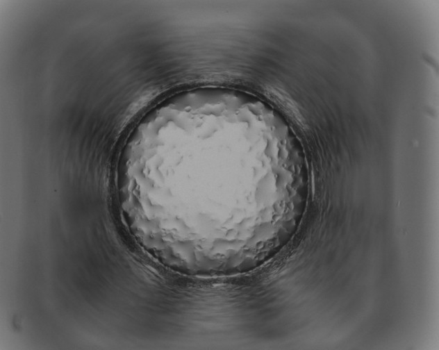 X0000091490483200709131833