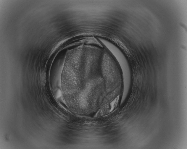 X0000091490484200709131833