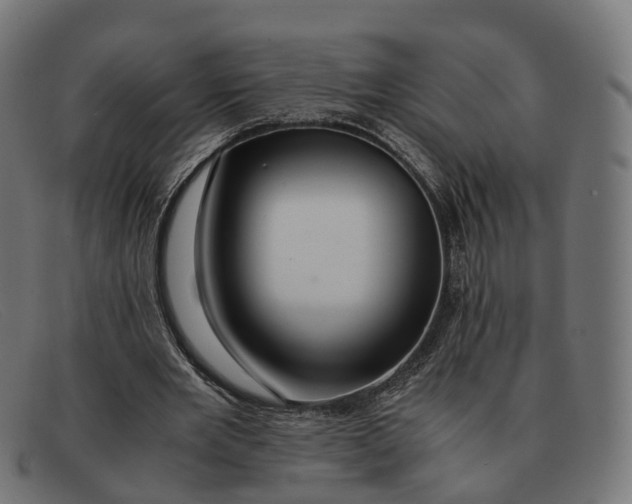 X0000091490485200709131833