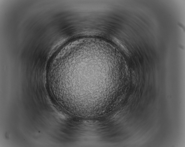 X0000091490486200709131833