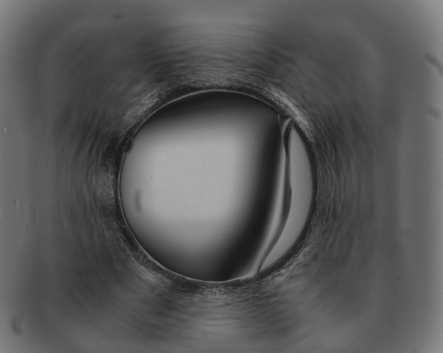 X0000091490489200709131833