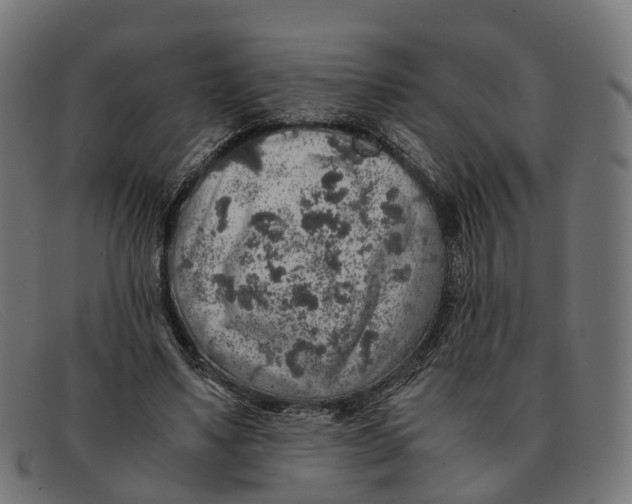 X0000091490491200709131833