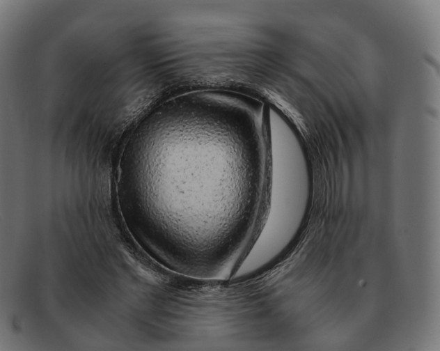 X0000091490493200709131833