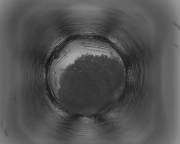 X0000091490494200709131833