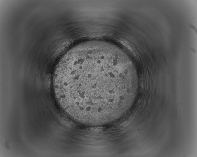 X0000091490495200709131833