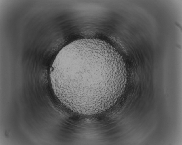 X0000091490498200709131833