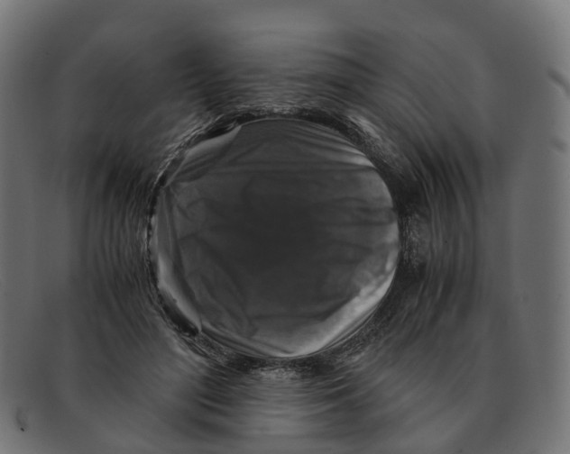 X0000091490500200709131833
