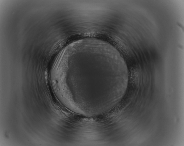 X0000091490502200709131833