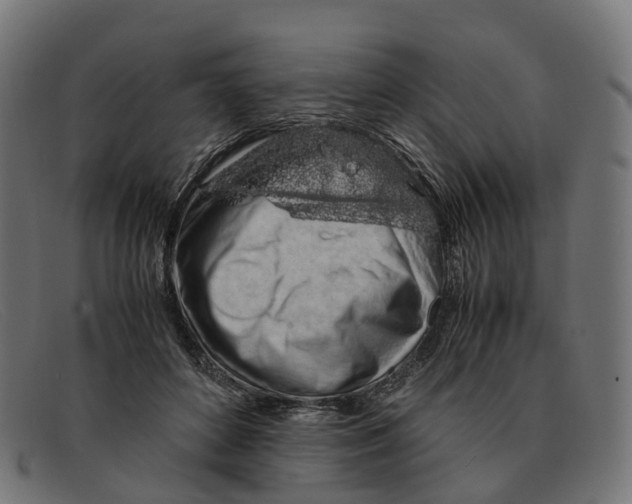 X0000091490504200709131833